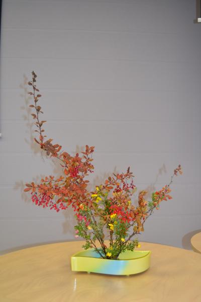 Japānas ziedu kārtošanas mākslas - ikebanas demonstrējumi